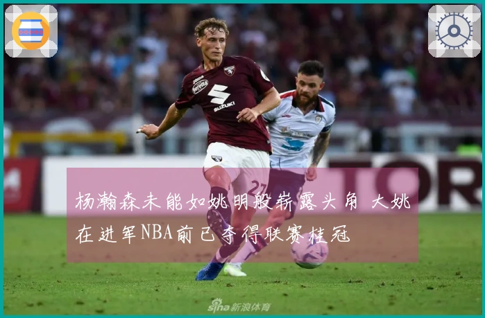 杨瀚森未能如姚明般崭露头角 大姚在进军NBA前已夺得联赛桂冠