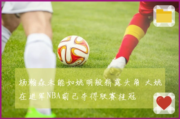 杨瀚森未能如姚明般崭露头角 大姚在进军NBA前已夺得联赛桂冠